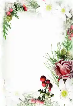 Foto-effetti della categoria Cartoline per l'8 Marzo № 131144. Scrittura sulla cornice: Auguri per l' 8 Marzo