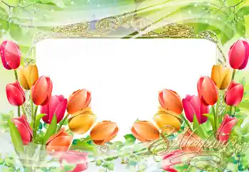 Foto-effetti della categoria Cartoline per l'8 Marzo № 38595. Scrittura sulla cornice: 8 Marzo Foto-effetti della categoria Cartoline per l'8 Marzo № 38595. Scrittura sulla cornice: 8 Marzo