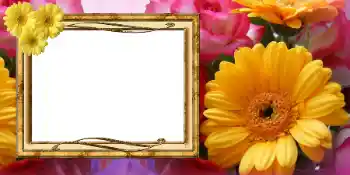 Foto-effetti della categoria Cartoline per l'8 Marzo № 42675 Foto-effetti della categoria Cartoline per l'8 Marzo № 42675