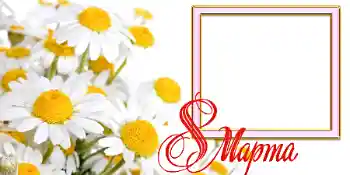 Foto-effetti della categoria Cartoline per l'8 Marzo № 42731. Scrittura sulla cornice: 8 Marzo Foto-effetti della categoria Cartoline per l'8 Marzo № 42731. Scrittura sulla cornice: 8 Marzo