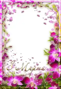 Foto-effetti della categoria Cartoline per l'8 Marzo № 67299. Scrittura sulla cornice: Women's Day Foto-effetti della categoria Cartoline per l'8 Marzo № 67299. Scrittura sulla cornice: Women's Day
