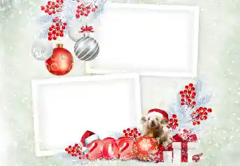 Scrittura sulla cornice: 2026