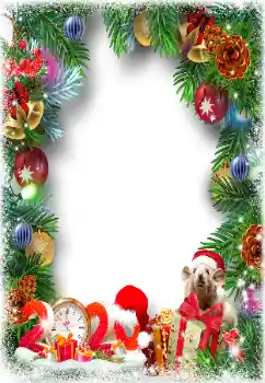 Scrittura sulla cornice: 2026