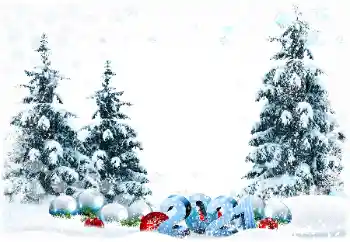 Scrittura sulla cornice: 2026