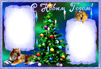 Scrittura sulla cornice: Felice Anno Nuovo