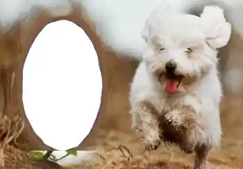 Scrittura sulla cornice: Felice Anno Nuovo