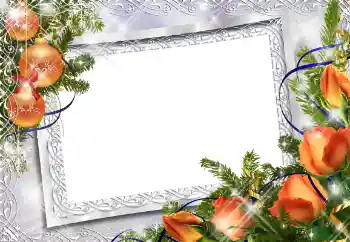 Foto-effetti della categoria Cartoline per Capodanno № 88084