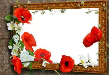 Foto-effetti della categoria Feste varie № 112418. Scrittura sulla cornice: Giornata della memoria e della riconciliazione