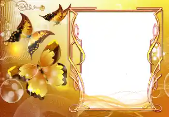 Foto-effetti della categoria Feste varie № 116083. Scrittura sulla cornice: Congratulazioni!