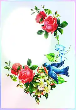 Foto-effetti della categoria Feste varie № 116213. Scrittura sulla cornice: Congratulazioni!