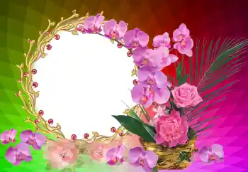 Foto-effetti della categoria Feste varie № 121122