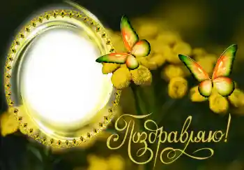 Foto-effetti della categoria Feste varie № 131482. Scrittura sulla cornice: Congratulazioni! Foto-effetti della categoria Feste varie № 131482. Scrittura sulla cornice: Congratulazioni!