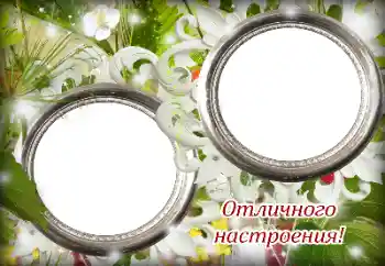 Foto-effetti della categoria Feste varie № 139887. Scrittura sulla cornice: Ti auguro buon umore!