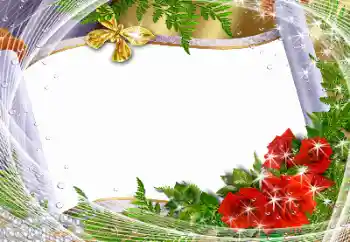 Foto-effetti della categoria Feste varie № 141158