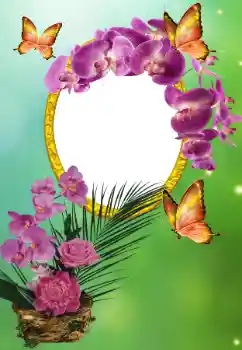 Foto-effetti della categoria Feste varie № 150615