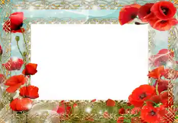 Foto-effetti della categoria Feste varie № 151740. Scrittura sulla cornice: Giornata della memoria e della riconciliazione