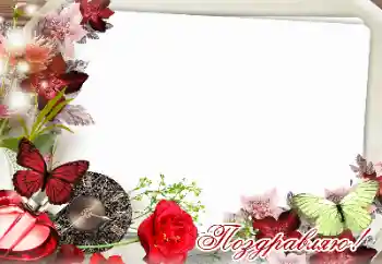 Foto-effetti della categoria Feste varie № 159471. Scrittura sulla cornice: Congratulazioni! Foto-effetti della categoria Feste varie № 159471. Scrittura sulla cornice: Congratulazioni!