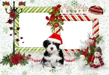 Foto-effetti della categoria Feste varie № 163336. Scrittura sulla cornice: Happy Holidays Foto-effetti della categoria Feste varie № 163336. Scrittura sulla cornice: Happy Holidays