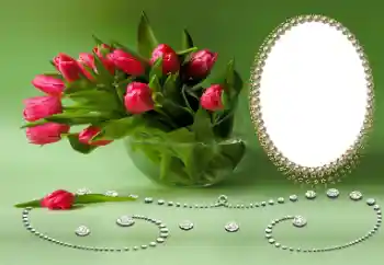 Foto-effetti della categoria Feste varie № 169026