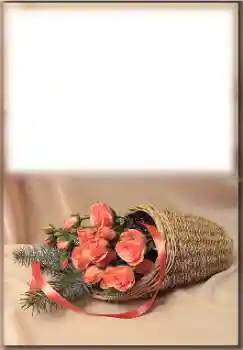 Foto-effetti della categoria Feste varie № 171774