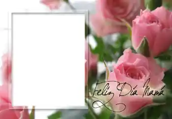 Foto-effetti della categoria Feste varie № 60152. Scrittura sulla cornice: Auguri per il festa della Mamma!