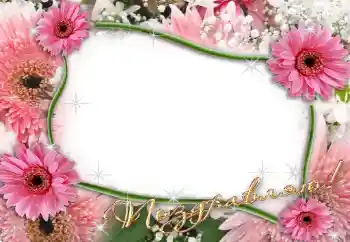 Foto-effetti della categoria Feste varie № 7515. Scrittura sulla cornice: Congratulazioni!