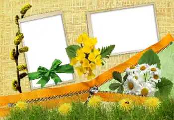 Foto-effetti della categoria Feste varie № 84202
