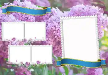 Foto-effetti della categoria Vari di scuola № 205350