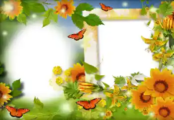 Foto-effetti della categoria Estate № 116126