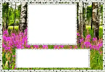 Foto-effetti della categoria Estate № 131011