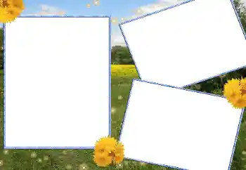 Foto-effetti della categoria Estate № 13915