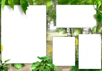 Foto-effetti della categoria Estate № 141163