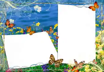 Foto-effetti della categoria Estate № 163330