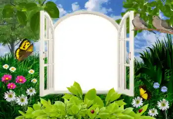 Foto-effetti della categoria Estate № 16945