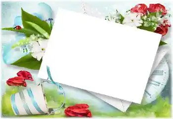 Foto-effetti della categoria Estate № 171765