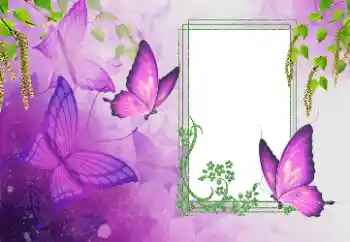 Foto-effetti della categoria Estate № 179562 Foto-effetti della categoria Estate № 179562