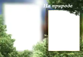 Foto-effetti della categoria Estate № 182141. Scrittura sulla cornice: Nella natura