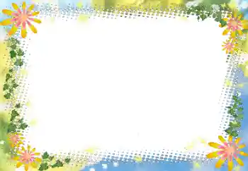 Foto-effetti della categoria Estate № 23225