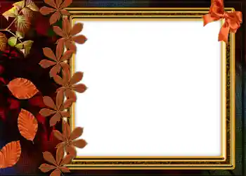 Foto-effetti della categoria Autunno № 1004