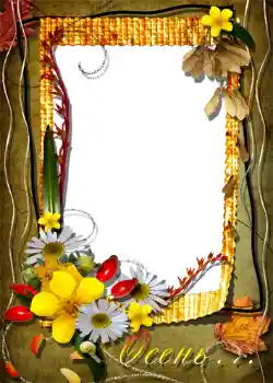 Foto-effetti della categoria Autunno № 1005