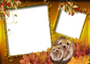 Foto-effetti della categoria Autunno № 1006