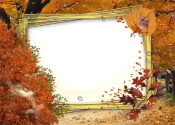 Foto-effetti della categoria Autunno № 1007