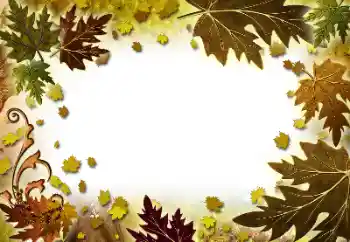 Foto-effetti della categoria Autunno № 101278