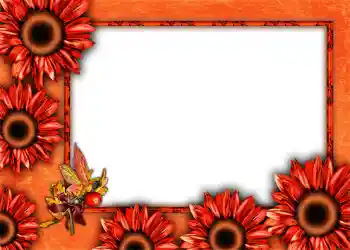 Foto-effetti della categoria Autunno № 1012 Foto-effetti della categoria Autunno № 1012