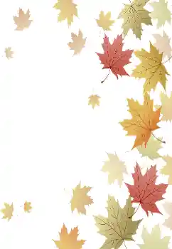 Foto-effetti della categoria Autunno № 102647