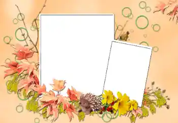 Foto-effetti della categoria Autunno № 103852