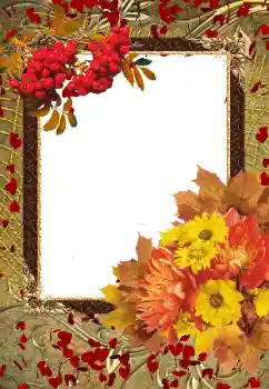 Foto-effetti della categoria Autunno № 103855