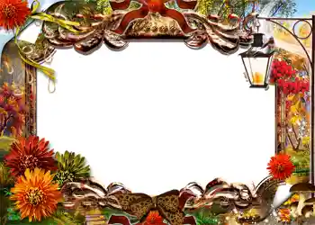 Foto-effetti della categoria Autunno № 1131