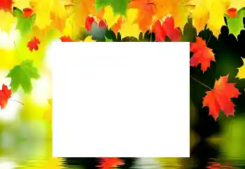 Foto-effetti della categoria Autunno № 116137