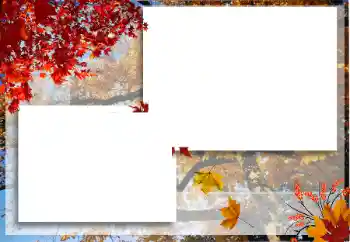 Foto-effetti della categoria Autunno № 125722